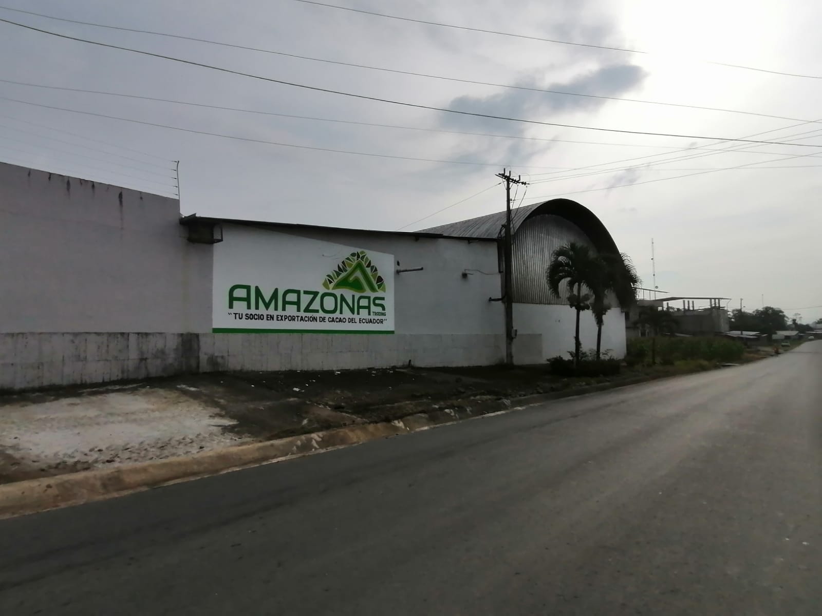 Galería cacao 1