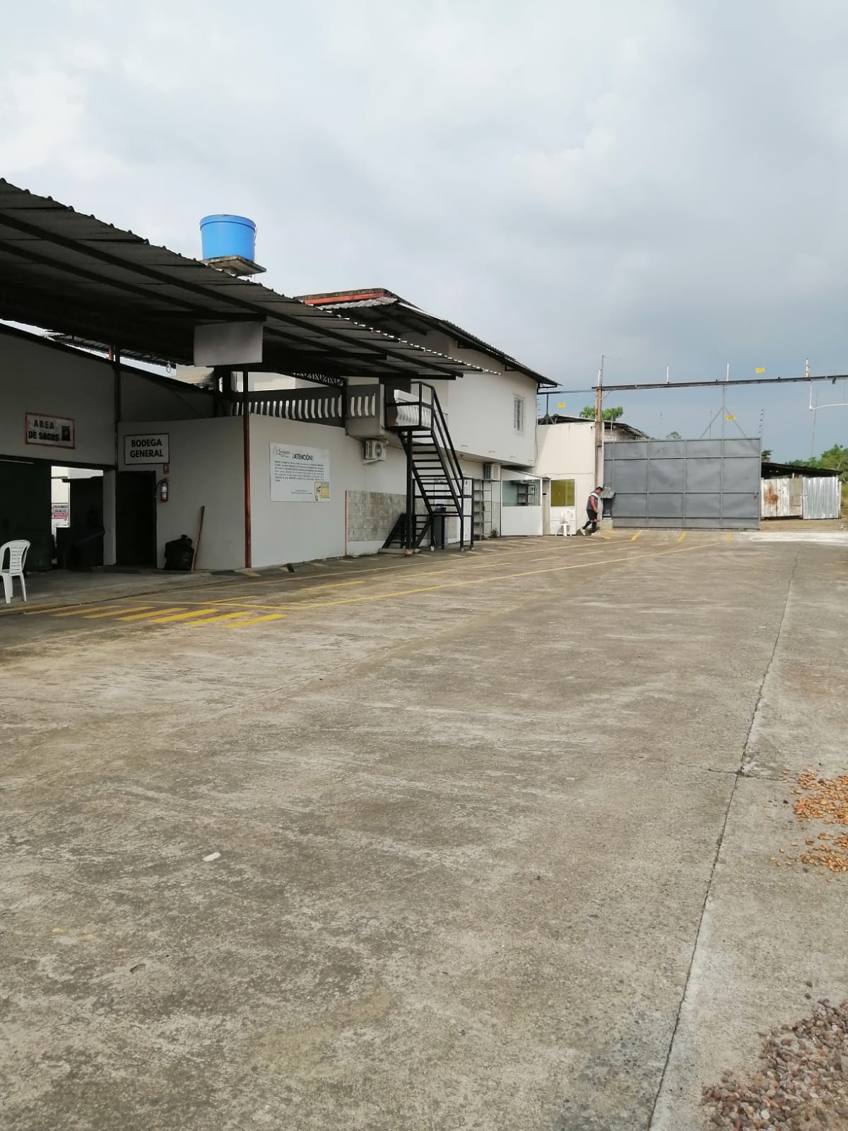 Galería cacao 3
