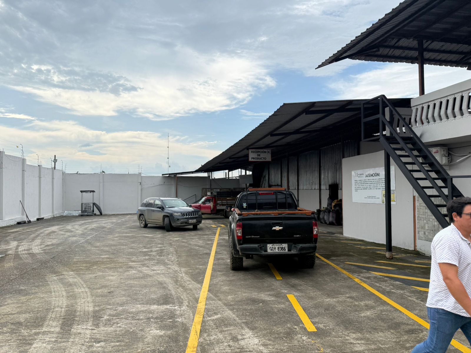 Galería cacao 4