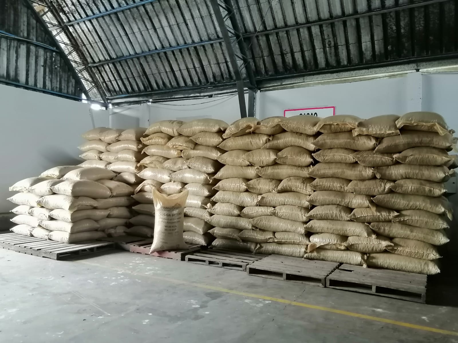 Galería cacao 5